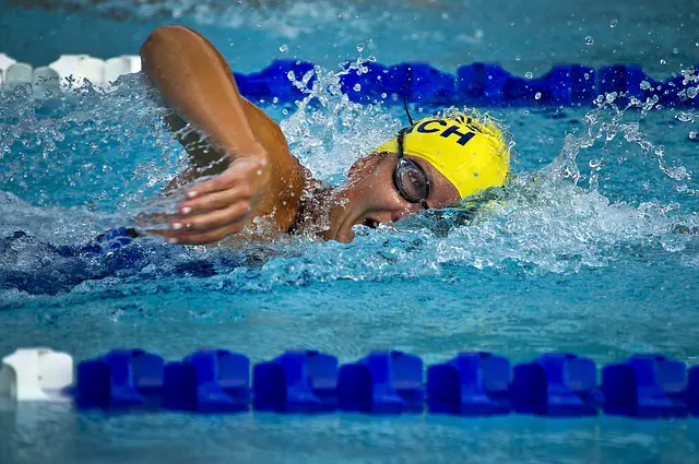 Natation, championnat du monde 2017
