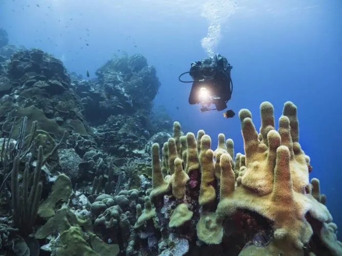 passionnes randonnée aquatique